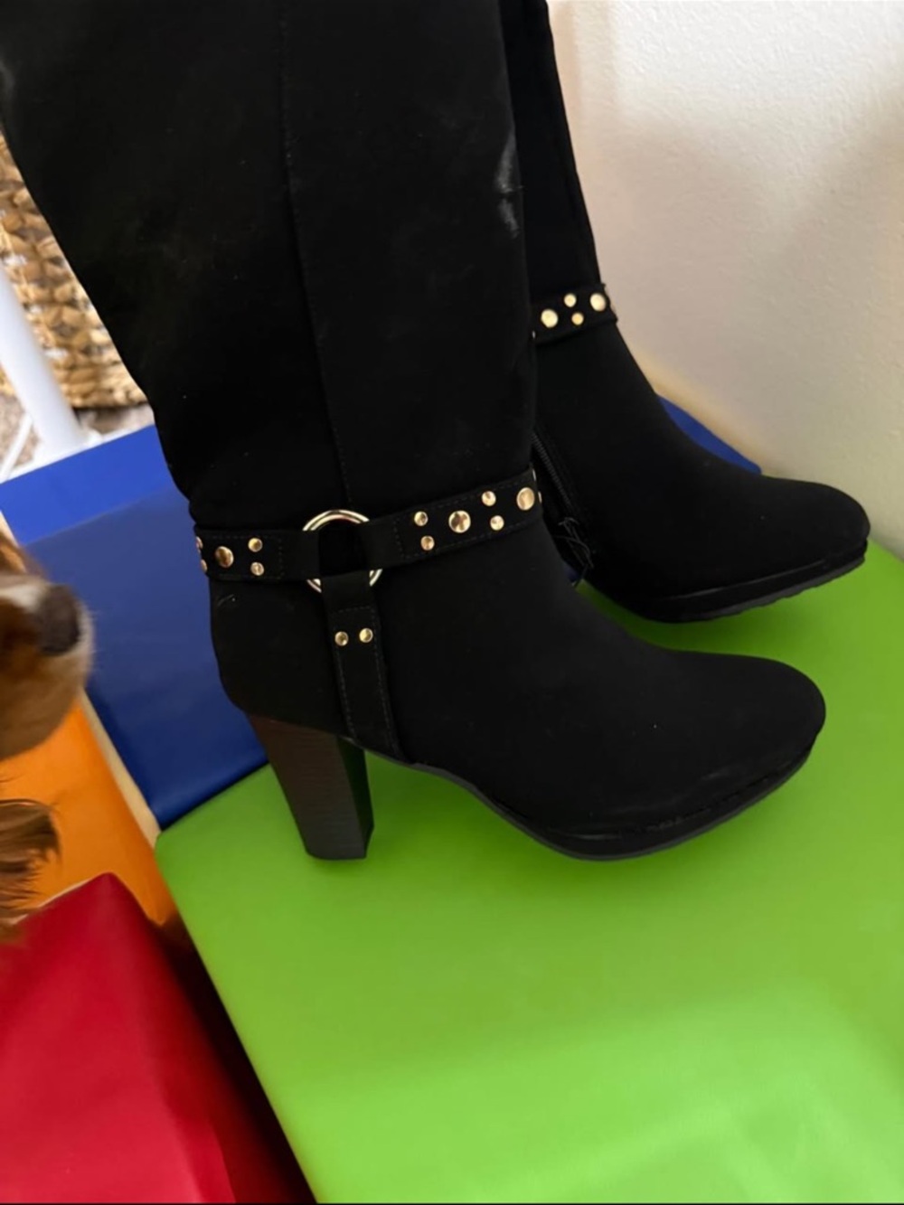 Classic Black High-Heel Studded Knee Boots - Women